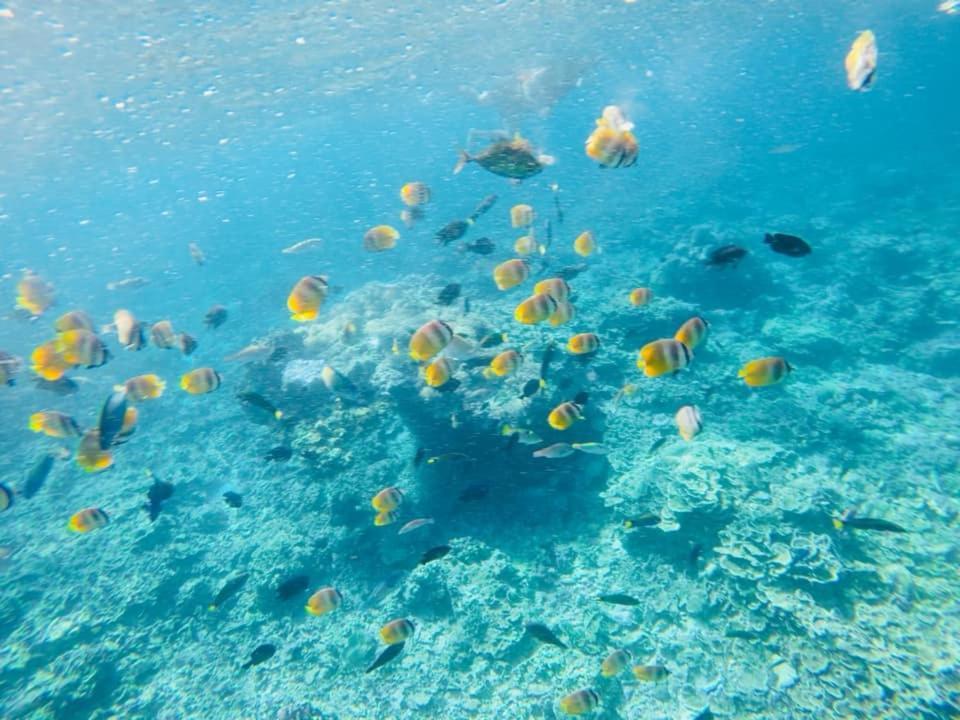 Sealovers' Place Masasa Beach Batangas Zewnętrze zdjęcie